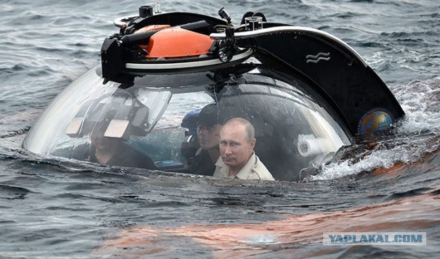 Сотрудница NOAA: "В океане живут высокоразвитые гуманоидные существа"