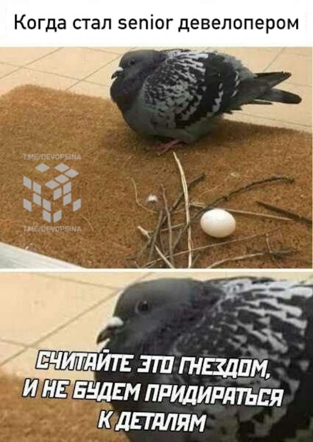 Баянисто-небаянистый юмор 7.02.22