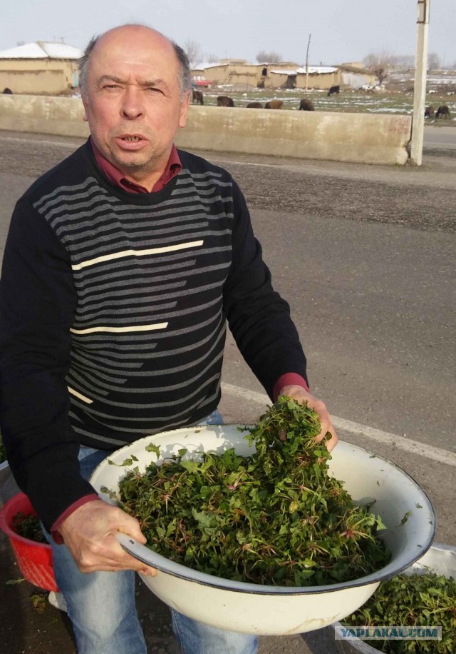 Женщины Средней Азии