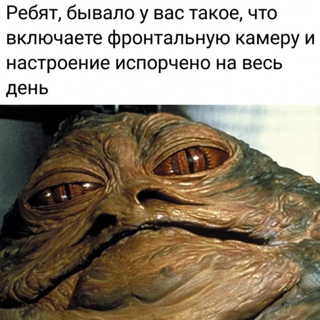 Весёлый полтишок 16.05.22