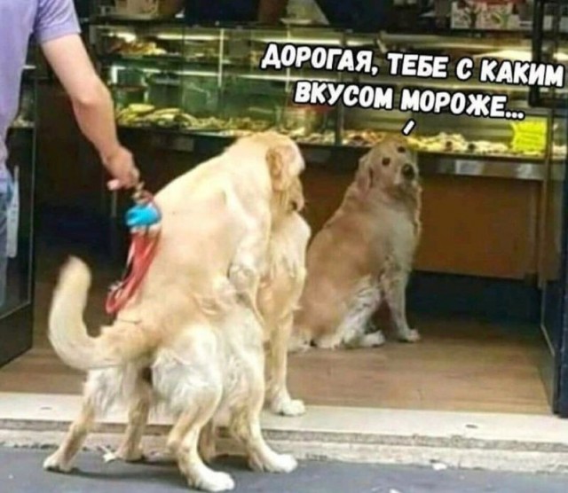 Так себе картинки 01.07.22