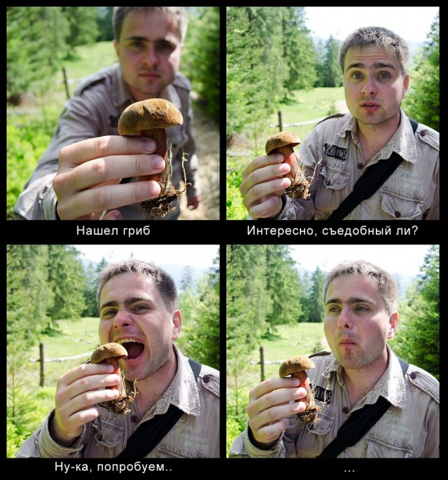 Поход за грибами