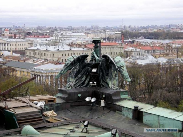 СПб глазами уставшего туриста...