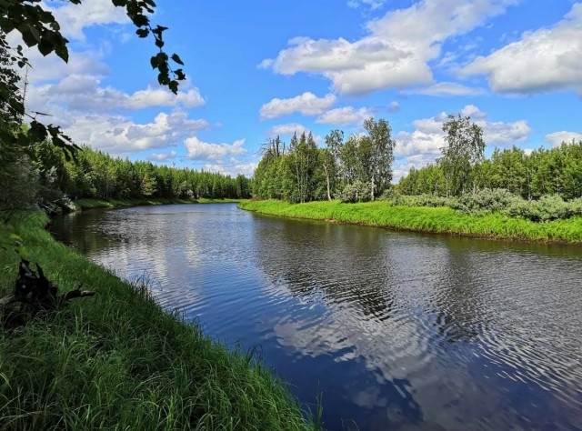Красоты ямальской тундры
