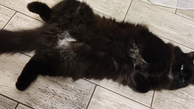 Нам уже 3 месяца