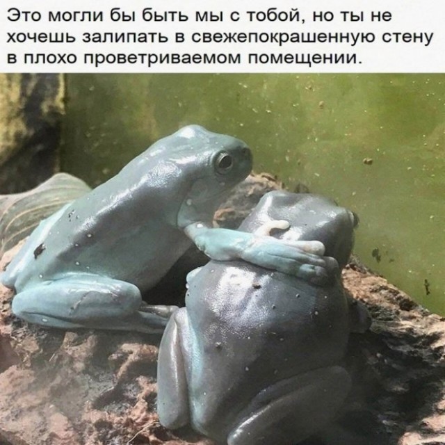 Немного картинок для настроения - 105