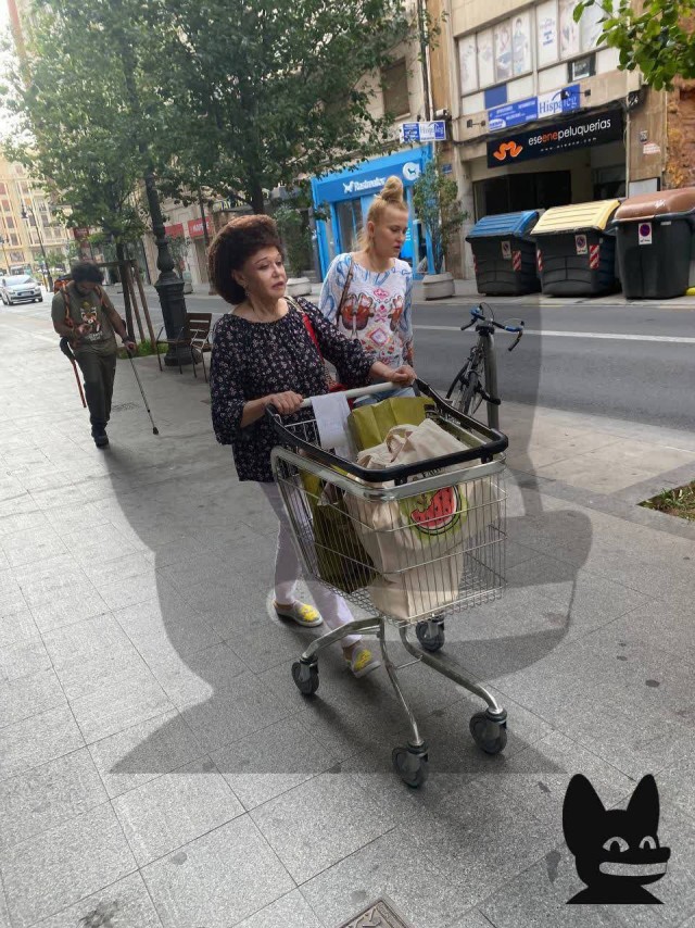 Экс-Сенатора Валентину Петренко заметили в супермаркете в Испании