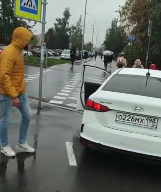Ослица за рулём