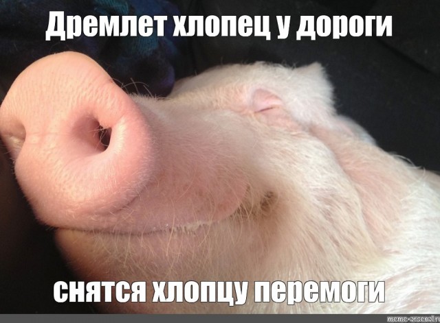 Сказ о том, как я в Крыму дом покупал. Часть вторая, финальная.