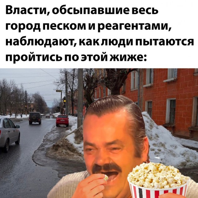 Весёлый полтишок 26.12.2022