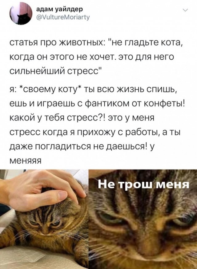 Скриншоты и комментарии из социальных сетей 12.01.23