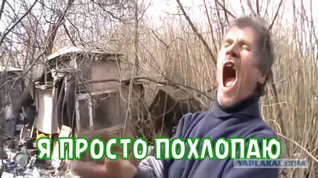 "Друзья! Просьба всесторонне оценить мою песню!"