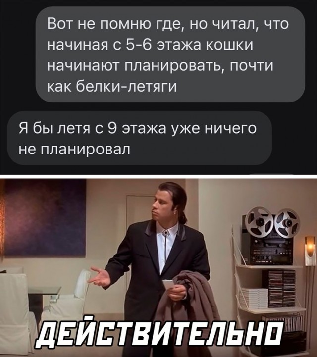 Картинки и мемы, всем хороших выходных