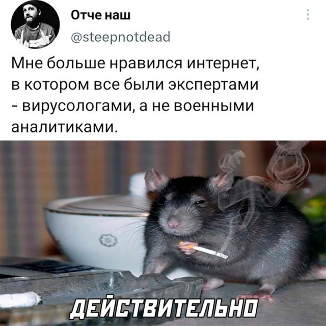 Картинки и мемы, всем хороших выходных