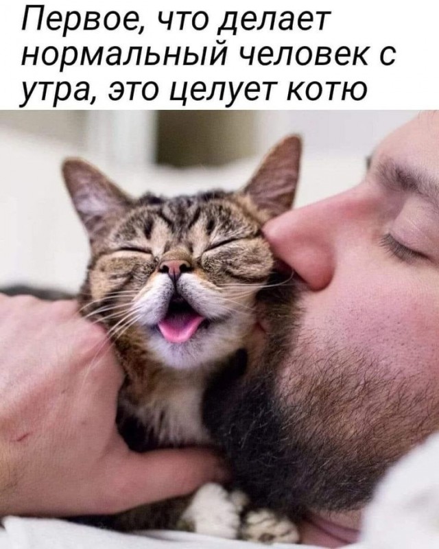 Так себе картинки 27.04.23
