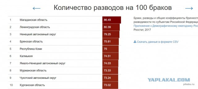 В России заявили, что обеспечением семьи следует заниматься мужчине
