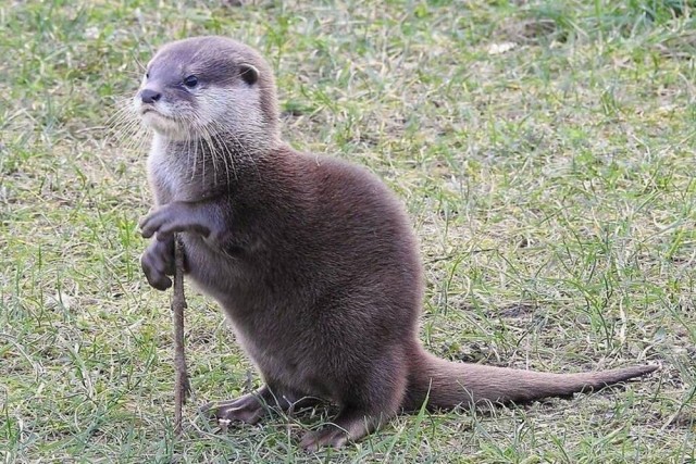 Подборка интересных и веселых картинок