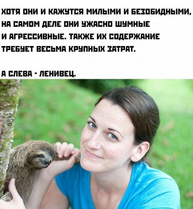Так себе картинки 21.07.23