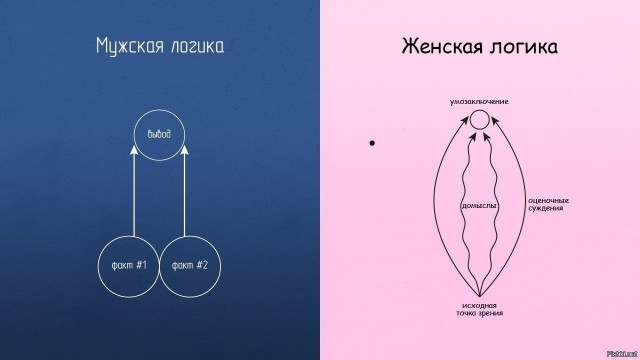 Принцип работы женского мозга
