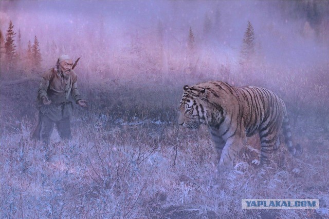 "— Лопату, Вазген, неси! Вон! — Лопатой его перебить что ли?"