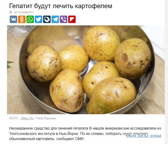 "Ты узнаешь ее из тысячи" Как распознать лесбиянку