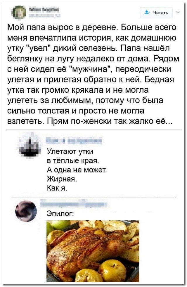 Забавные комментарии из социальных сетей (12.02.24)