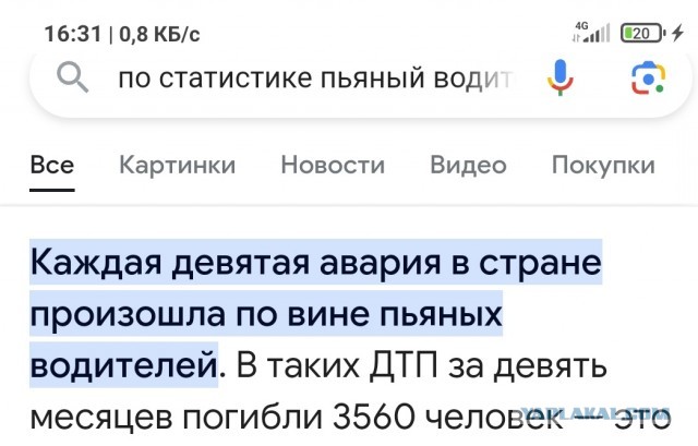 Выползают, радуются весне такие...