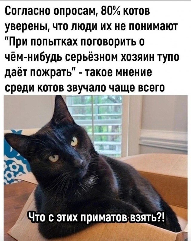 Так себе картинки 31.05.24