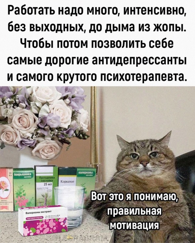 Нуштош 05.07.2024