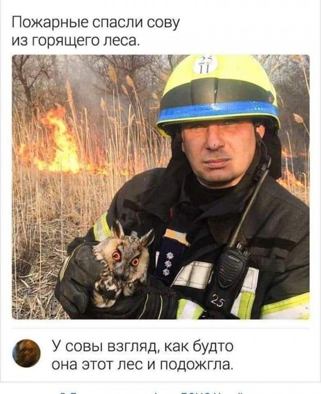 Так себе картинки 25.08.24