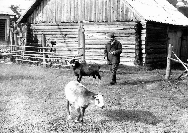 Немного фотографий из жизни одной деревни