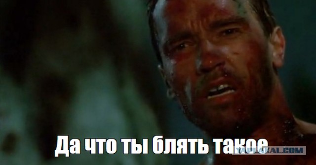 Закладчики в Люберцах выходят на новый уровень⁠⁠