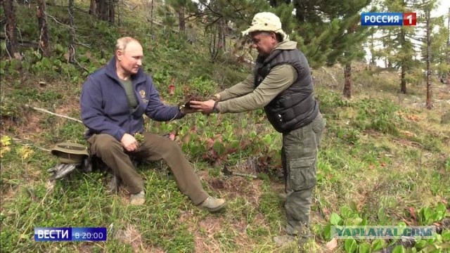 А какой у вас любимый фильм?