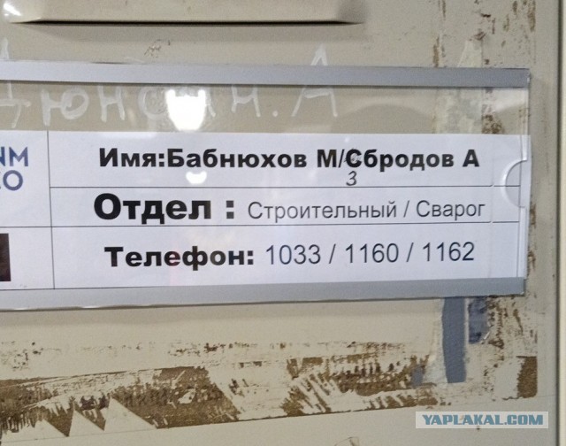 Часто попадаются разные фамилии...и не только, начну коллекционировать