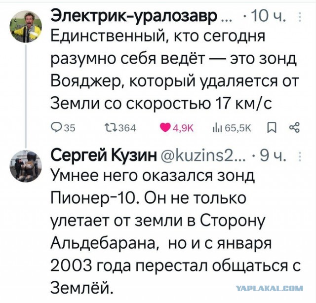 Так себе картинки 21.12.24