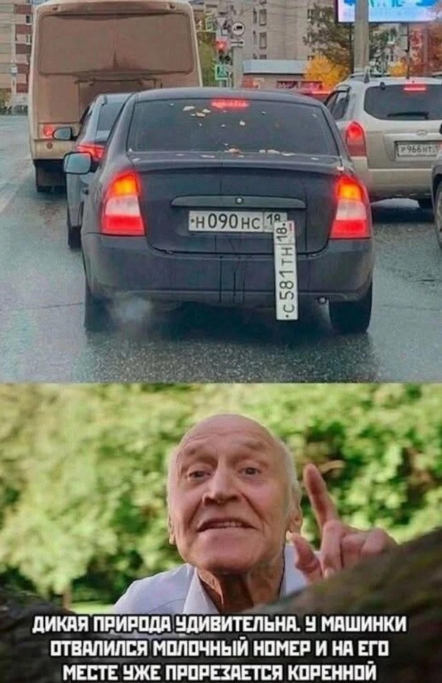 Картинки своеобразного юмора