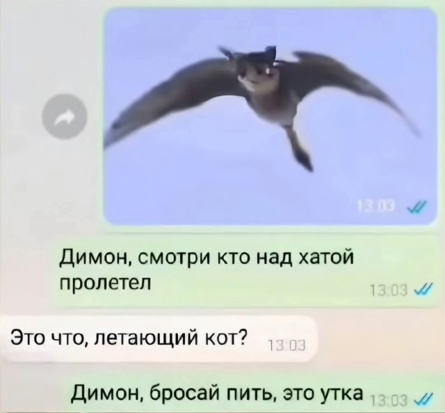 Маленькая пятница 28.05