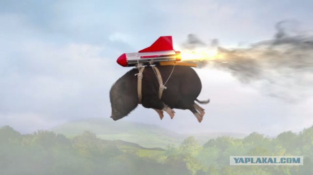 Восемь сотрудников авиакомпании понадобилось, чтобы помочь американской бодипозитив-активистке подняться на борт самолёта