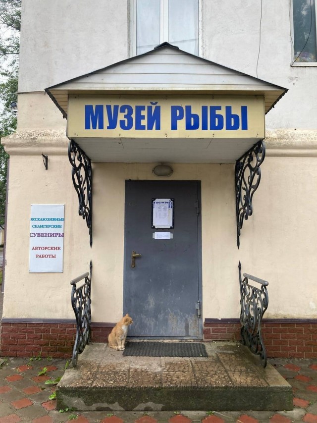 Веселые картинки в понедельник (07.07)