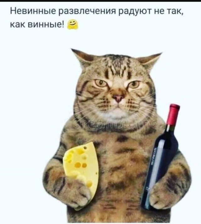 Веселое настроение в картинках (13.07.2025)