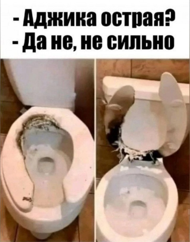 Картинки для деградации 11 (разной степени свежести)