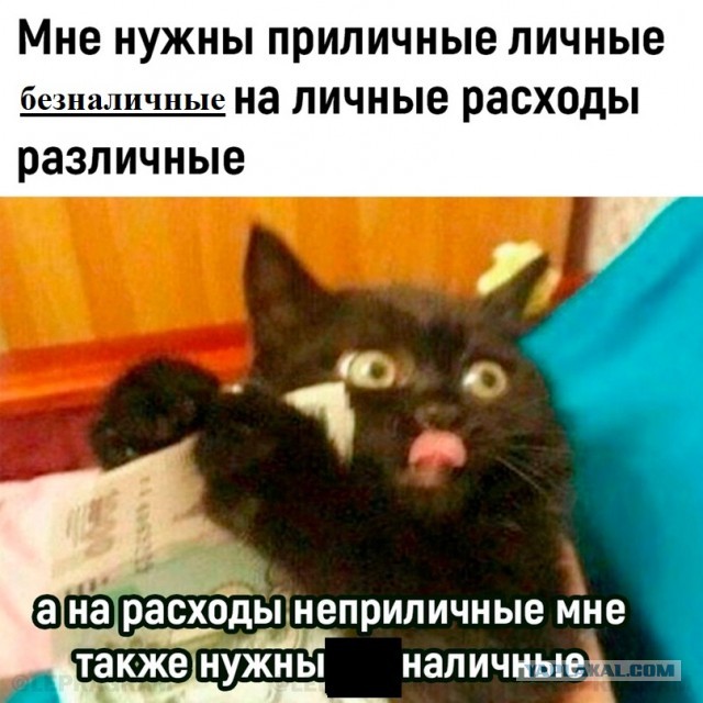 Картинки для деградации 17 (разной степени свежести)
