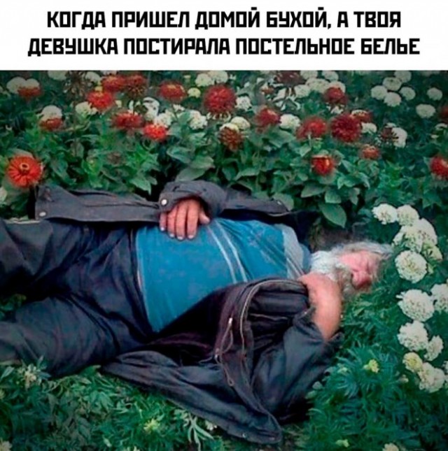 Веселые картинки в маленькую пятницу (20.08)