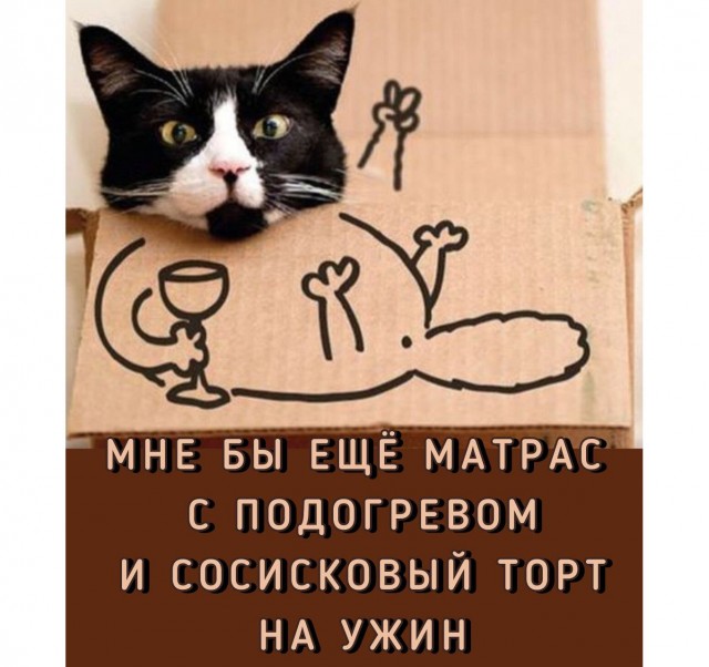 Прикольные и просто красивые картинки 10.10.2025