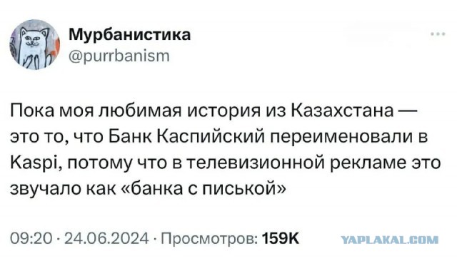 Быстрее, чем QR. Оплата ладонью.