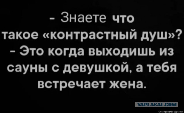 Веселые картинки в маленькую пятницу (12.11)