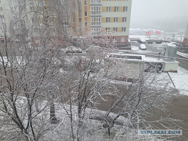 С первым снегом нас!))