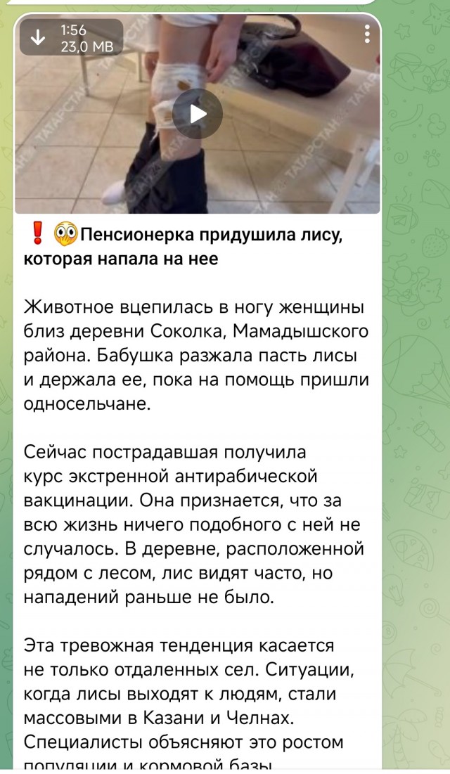 "Ты чо? Красавица… Я ее походу убила"