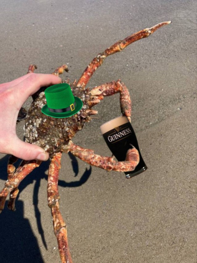 Записки моряка. Паромная жизнь, часть 2