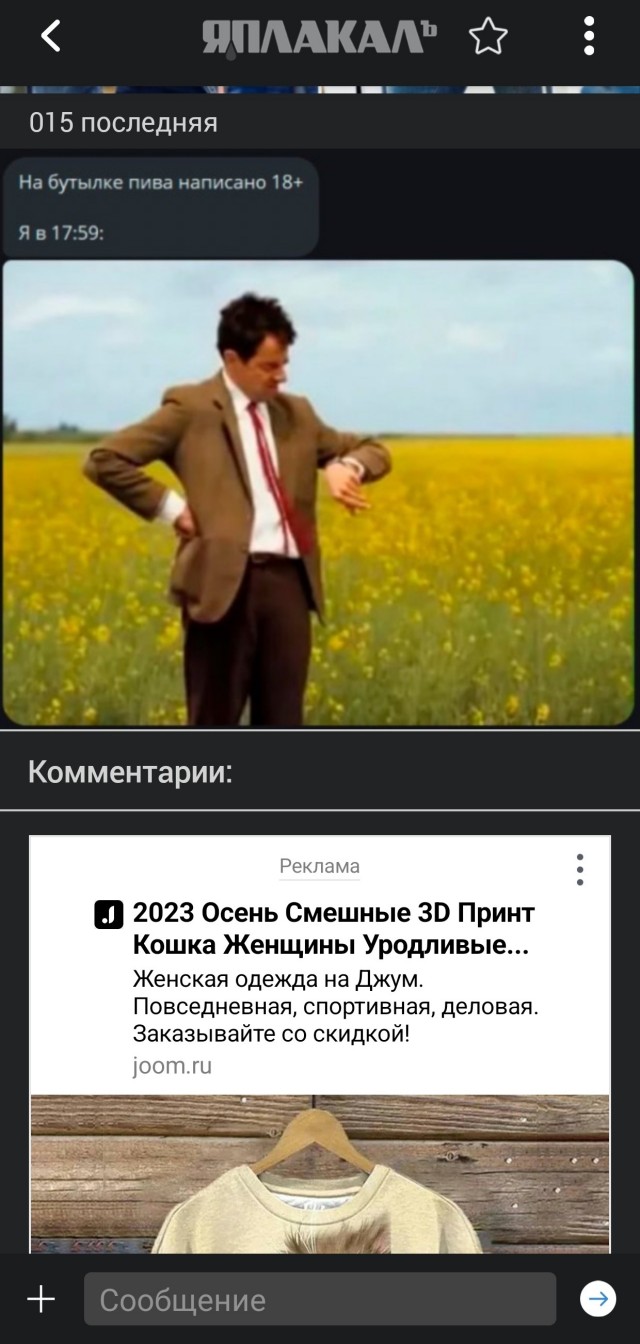 Картиночки, баянчики  04 декабря